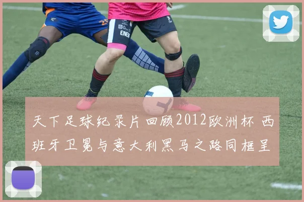 天下足球纪录片回顾2012欧洲杯 西班牙卫冕与意大利黑马之路同框呈现